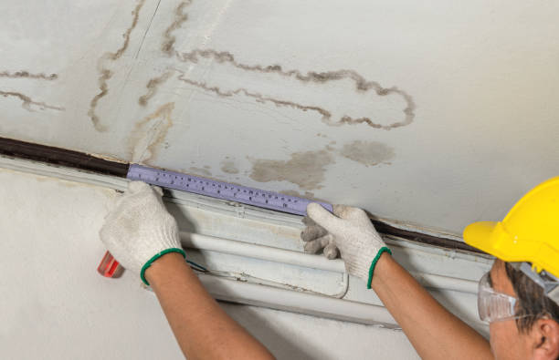 Reliable Flood Cleanup contractor in Bucoda, WA by Water Damage Irwin